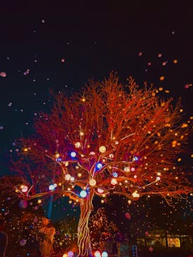 西武園ゆうえんちに投稿された画像（2023/2/4）