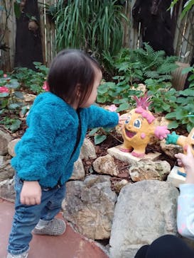 ナゴパイナップルパークに投稿された画像（2023/2/4）