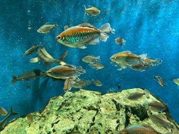 サンシャイン水族館に投稿された画像（2023/2/4）