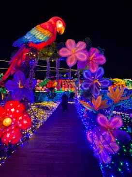 伊豆ぐらんぱる公園に投稿された画像（2023/2/4）