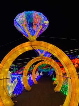 伊豆ぐらんぱる公園に投稿された画像（2023/2/4）