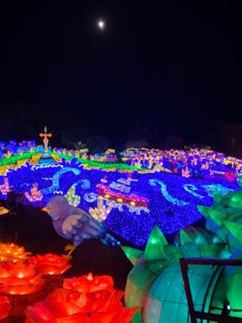 伊豆ぐらんぱる公園に投稿された画像（2023/2/4）