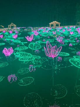 美らヤシパークオキナワ・東南植物楽園に投稿された画像（2023/2/4）