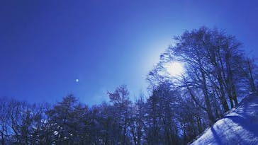 スノーリゾート　ロマンスの神様に投稿された画像（2023/2/4）