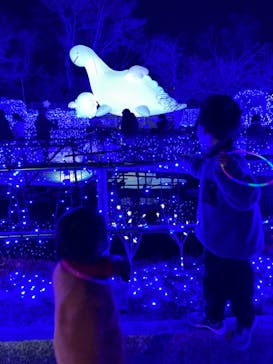 さがみ湖MORI MORIに投稿された画像（2023/2/5）