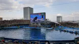 名古屋港水族館に投稿された画像（2023/2/5）
