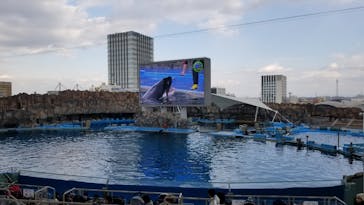 名古屋港水族館に投稿された画像（2023/2/5）