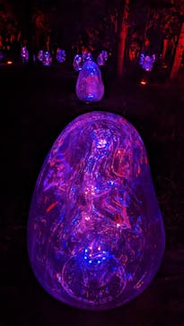 チームラボ ボタニカルガーデン 大阪に投稿された画像（2023/2/5）