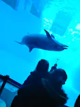 名古屋港水族館に投稿された画像（2023/2/5）
