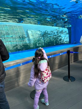 サンシャイン水族館に投稿された画像（2023/2/5）