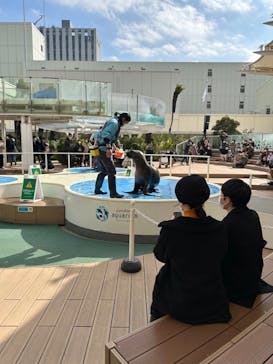 サンシャイン水族館に投稿された画像（2023/2/5）