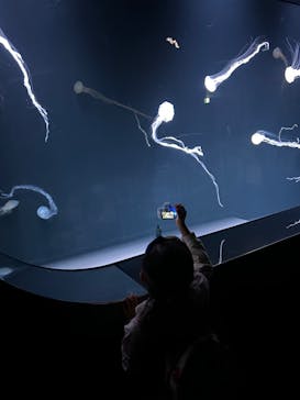 サンシャイン水族館に投稿された画像（2023/2/5）