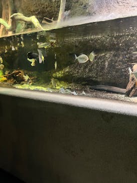 サンシャイン水族館に投稿された画像（2023/2/5）