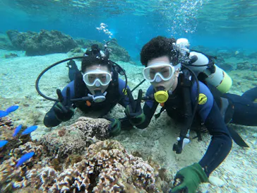 武藤潜水に投稿された画像（2023/2/5）