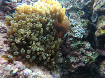 武藤潜水に投稿された画像（2023/2/5）