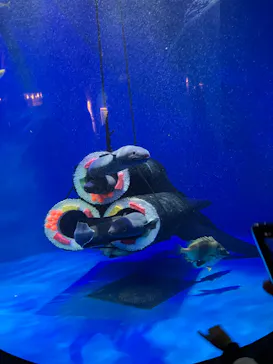 仙台うみの杜水族館に投稿された画像（2023/2/5）