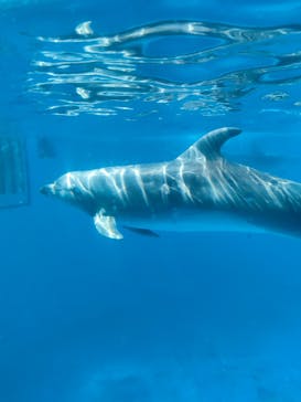 新江ノ島水族館に投稿された画像（2023/2/5）