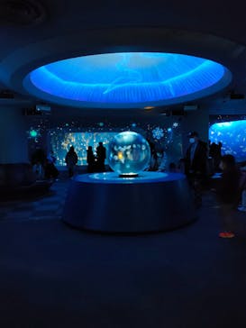 新江ノ島水族館に投稿された画像（2023/2/5）