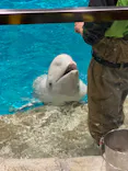 名古屋港水族館に投稿された画像（2023/2/5）