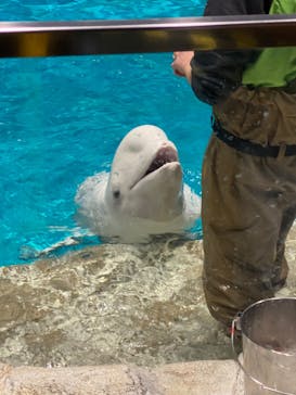 名古屋港水族館に投稿された画像（2023/2/5）