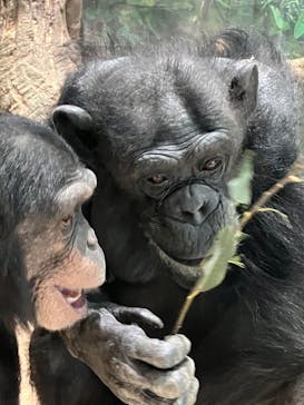 よこはま動物園ズーラシアに投稿された画像（2023/2/5）