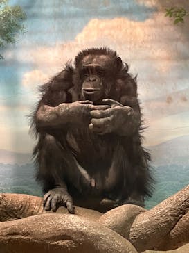 よこはま動物園ズーラシアに投稿された画像（2023/2/5）