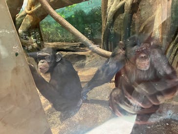 よこはま動物園ズーラシアに投稿された画像（2023/2/5）