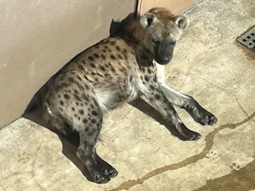 天王寺動物園に投稿された画像（2023/2/5）