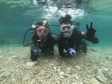 武藤潜水に投稿された画像（2023/2/5）