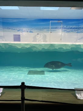 滋賀県立琵琶湖博物館に投稿された画像（2023/2/5）