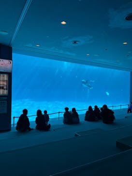 名古屋港水族館に投稿された画像（2023/2/5）