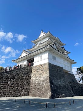 小田原城に投稿された画像（2023/2/5）