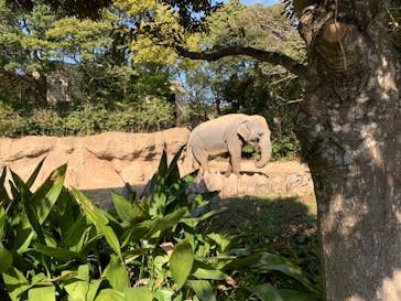 到津の森公園に投稿された画像（2023/2/5）