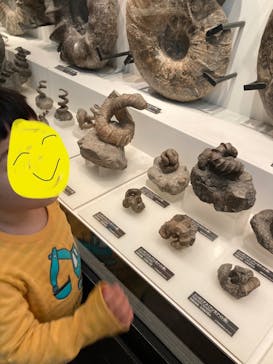 国立科学博物館に投稿された画像（2023/2/5）