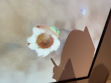 NAKED FLOWERS FOR YOU（ネイキッドフラワーズフォーユー）に投稿された画像（2023/2/5）