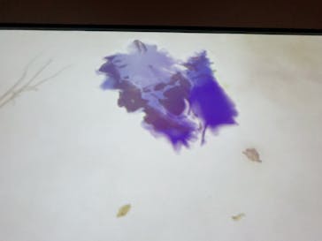 NAKED FLOWERS FOR YOU（ネイキッドフラワーズフォーユー）に投稿された画像（2023/2/5）