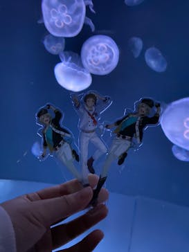 サンシャイン水族館に投稿された画像（2023/2/5）