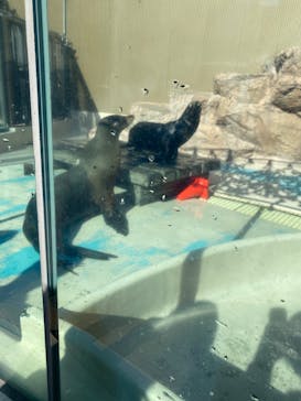 サンシャイン水族館に投稿された画像（2023/2/5）