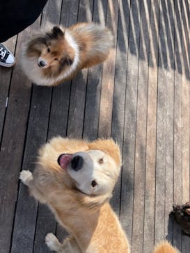 長崎バイオパークに投稿された画像（2023/2/5）