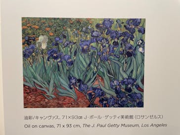 ゴッホ・アライブに投稿された画像（2023/2/5）