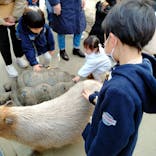 神戸どうぶつ王国に投稿された画像（2023/2/5）