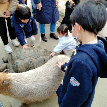 神戸どうぶつ王国に投稿された画像（2023/2/5）
