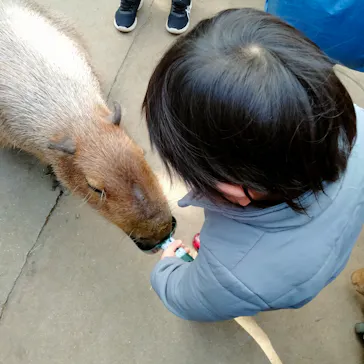 神戸どうぶつ王国に投稿された画像（2023/2/5）