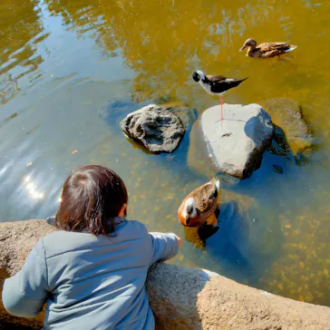 神戸どうぶつ王国に投稿された画像（2023/2/5）