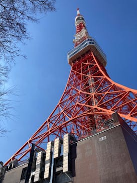東京タワーに投稿された画像（2023/2/5）