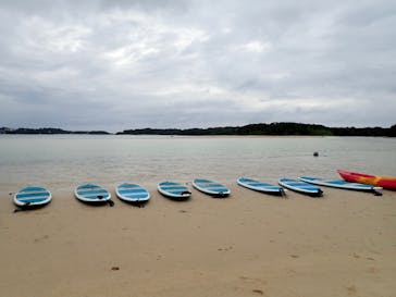 石垣島 ADVENTURE PiPi（イシガキジマアドベンチャーピピ）に投稿された画像（2023/2/5）