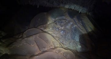 宮古島 ADVENTURE PiPi（ミヤコジマ アドベンチャー ピピ）に投稿された画像（2023/2/5）