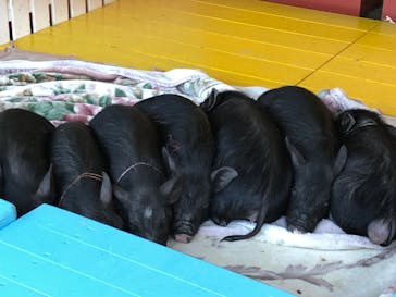 ワールド牧場に投稿された画像（2023/2/5）