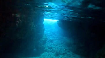 DIVING-SHOP SUNSに投稿された画像（2023/2/5）