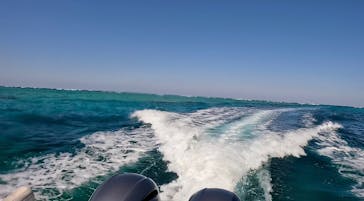 DIVING-SHOP SUNSに投稿された画像（2023/2/5）